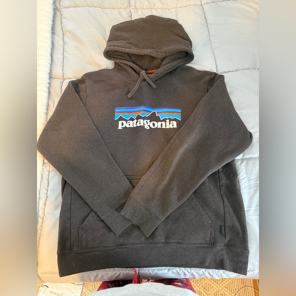 Patagonia Hoodie